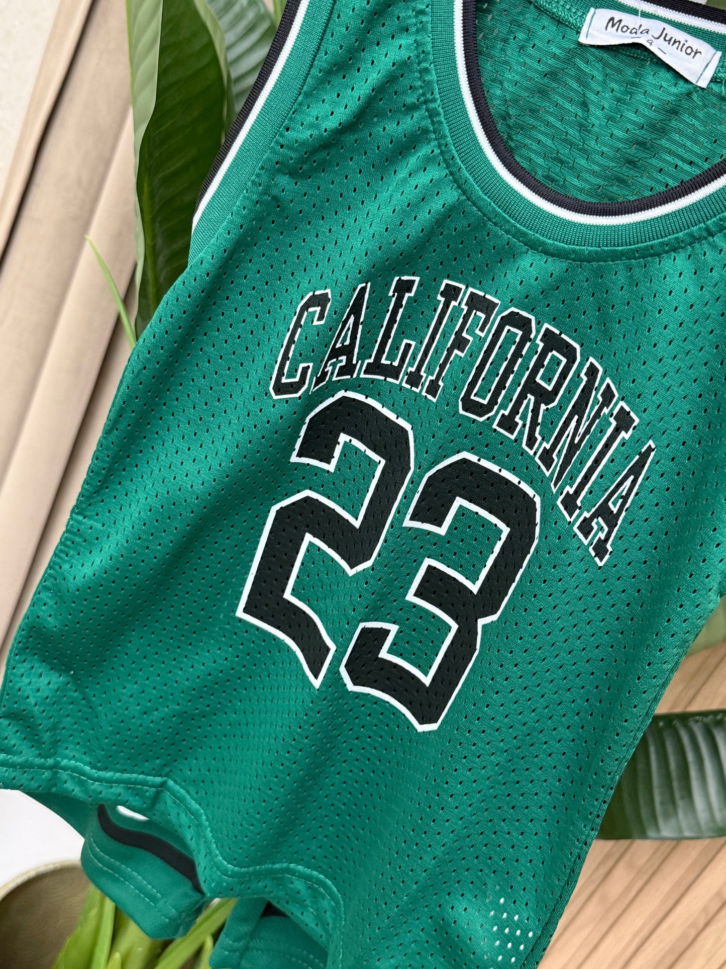 Coordinato Basket Santos