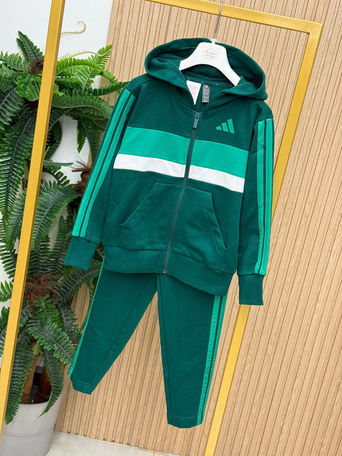 Tuta Adidas Greenwood