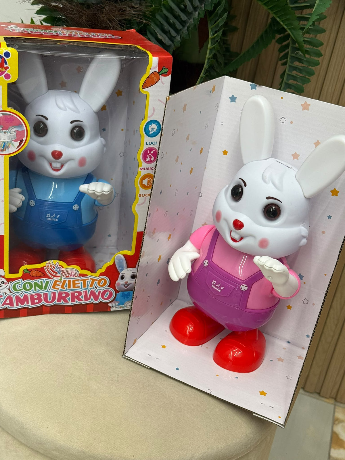 Coniglietto Bunny