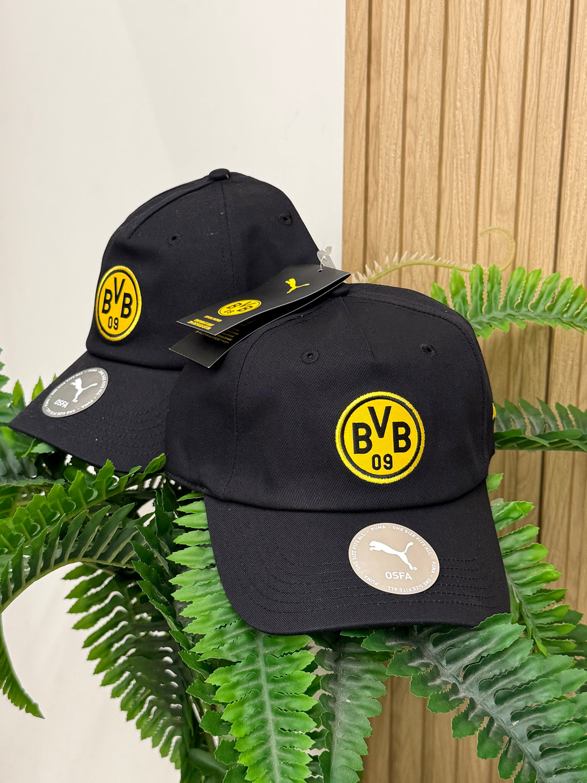 Cappello Bvb
