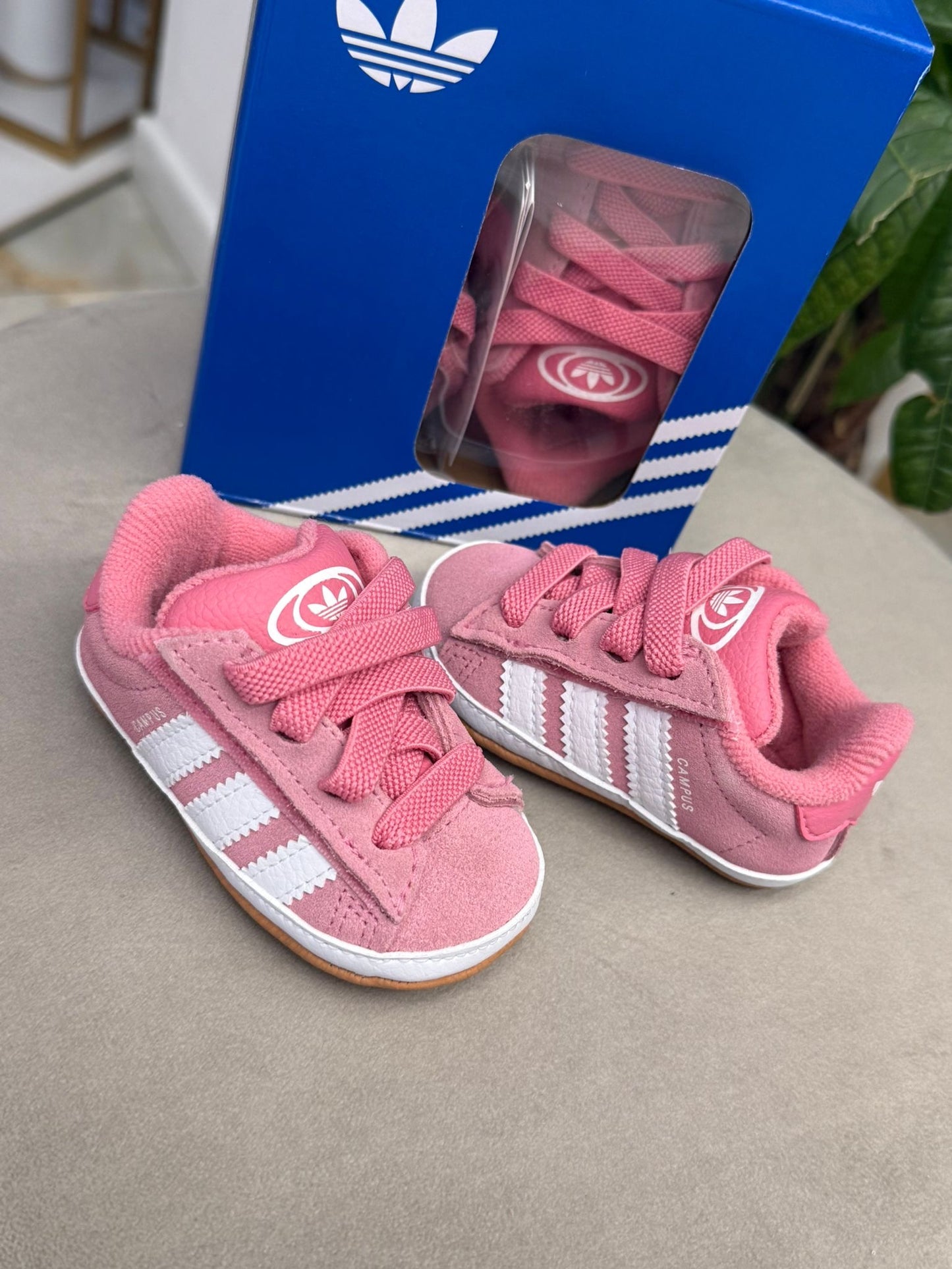 Adidas Campus Culla