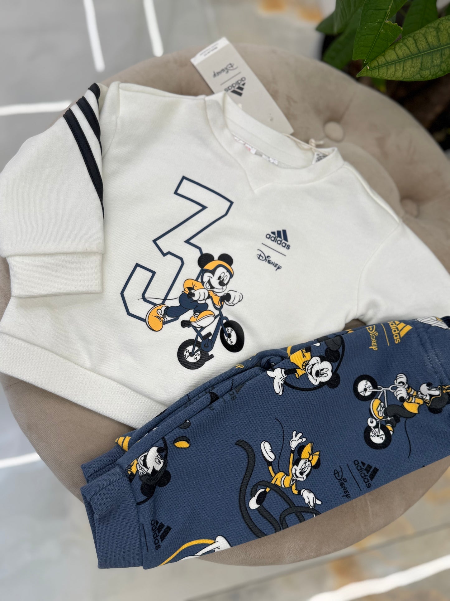 Tuta Adidas Topolino