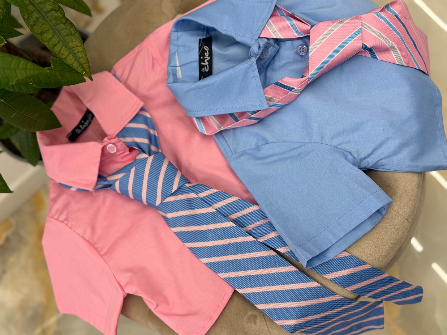 Camicia Nacktie ming