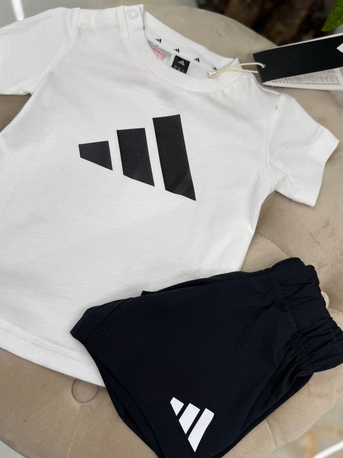 Completo Adidas basic