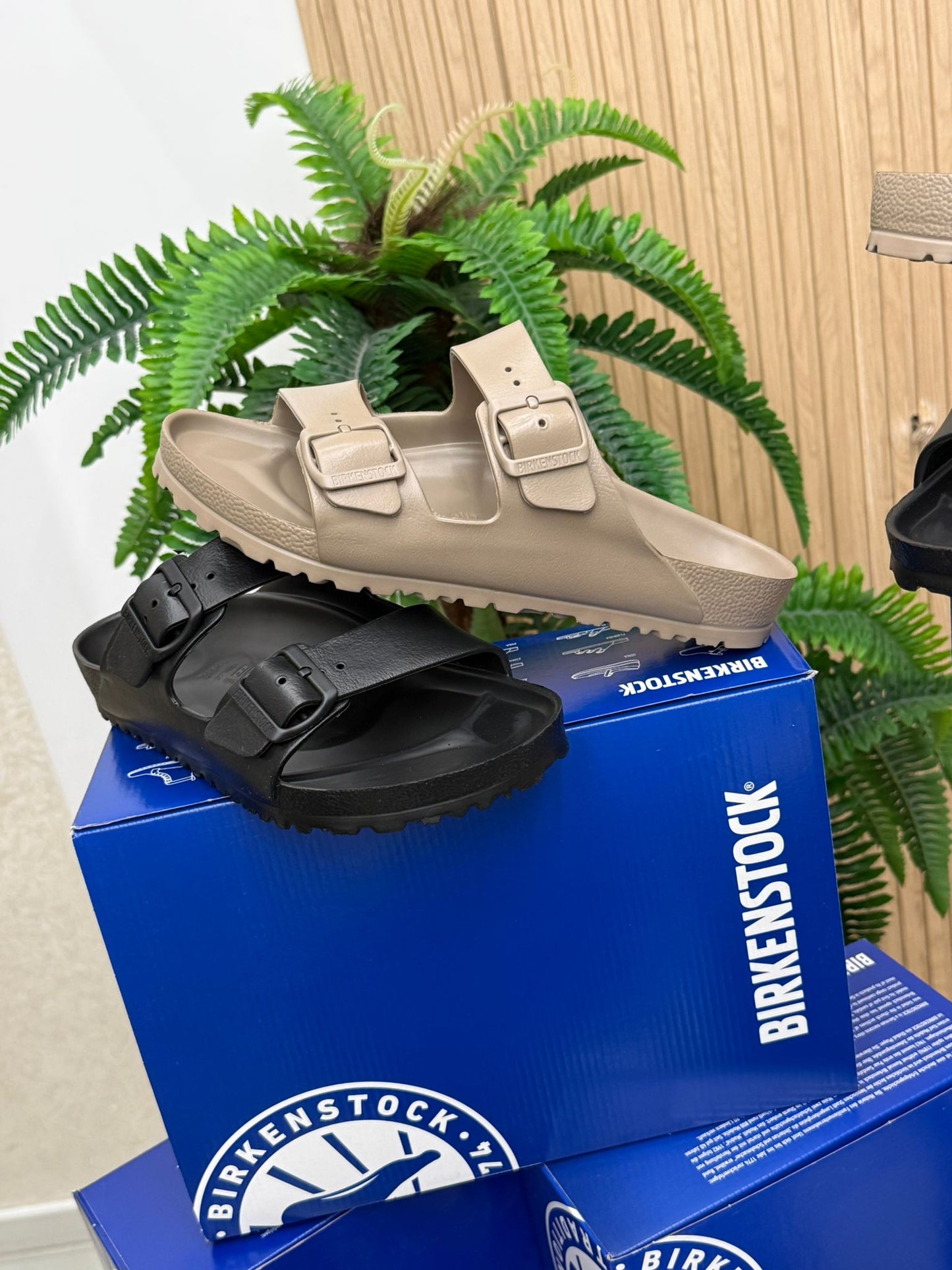 Birkenstock Eva