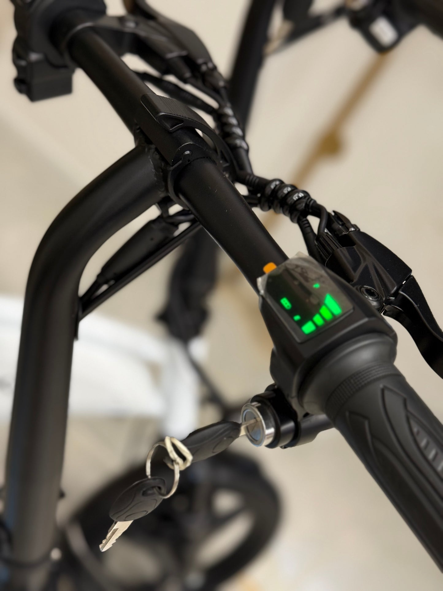 Bici elettrica VIP Bike