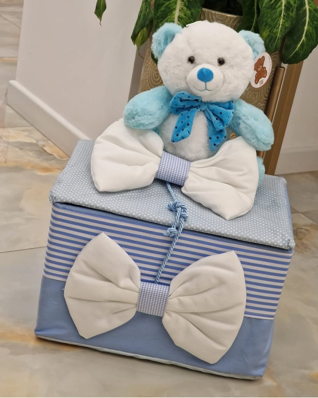 Scatola orso