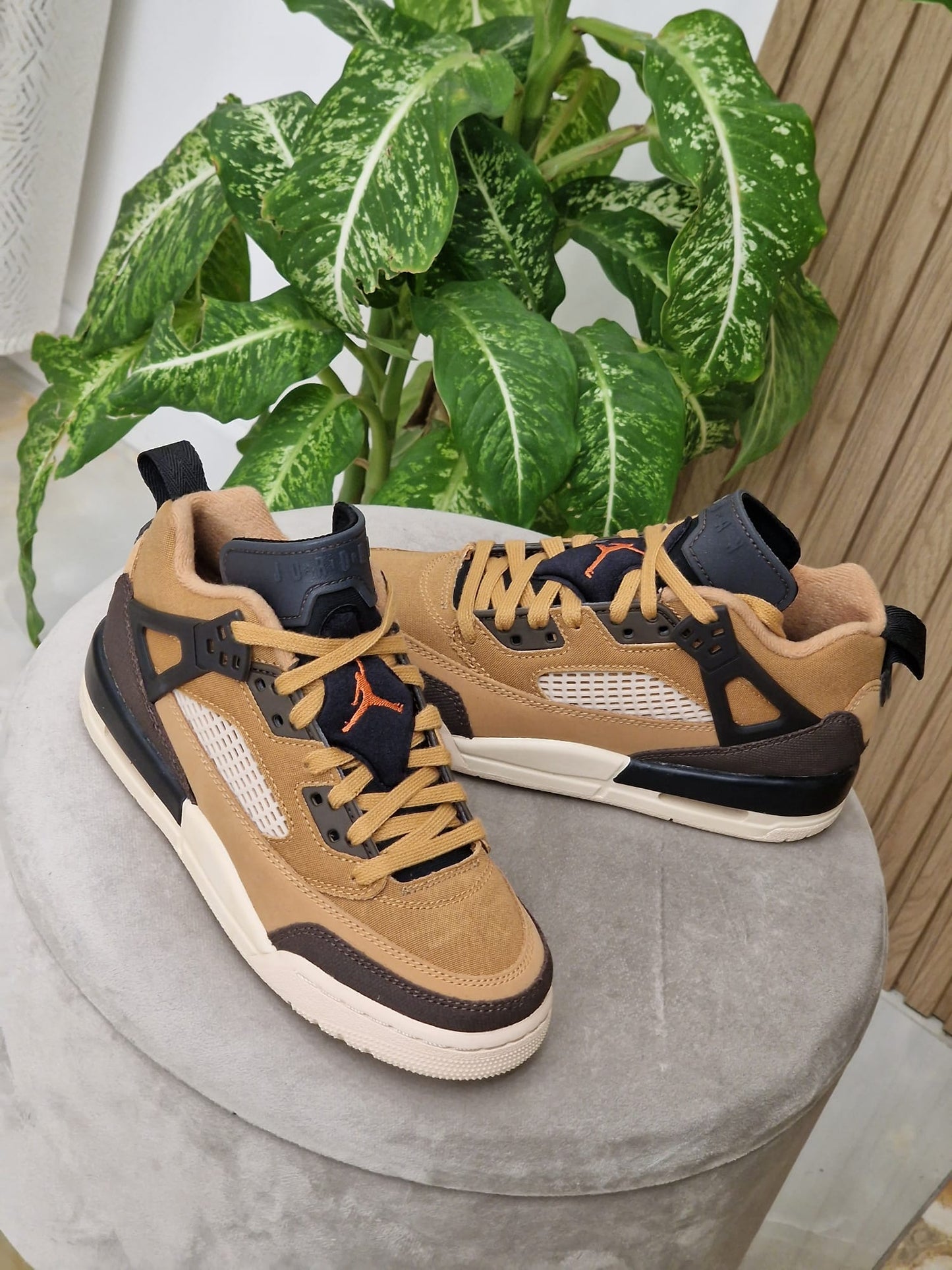 Jordan Low