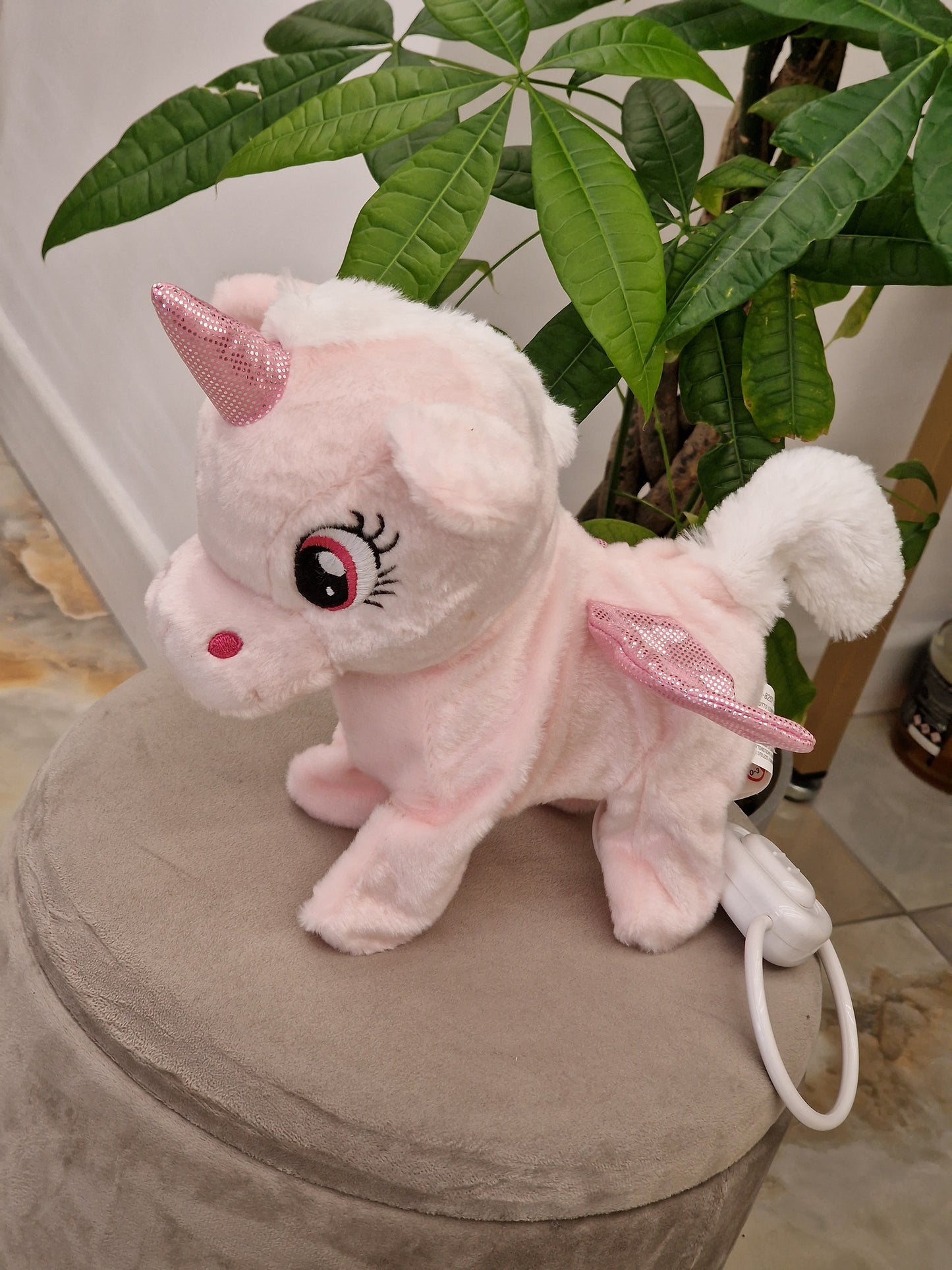 Cagnolino sweet