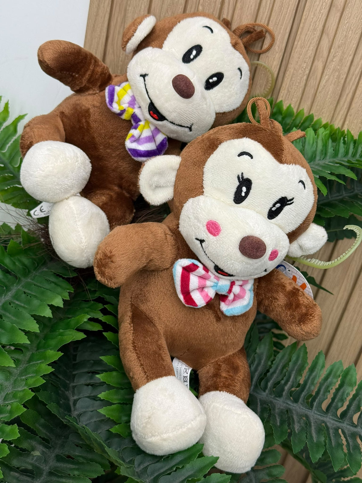 Mini Monkey Papillon