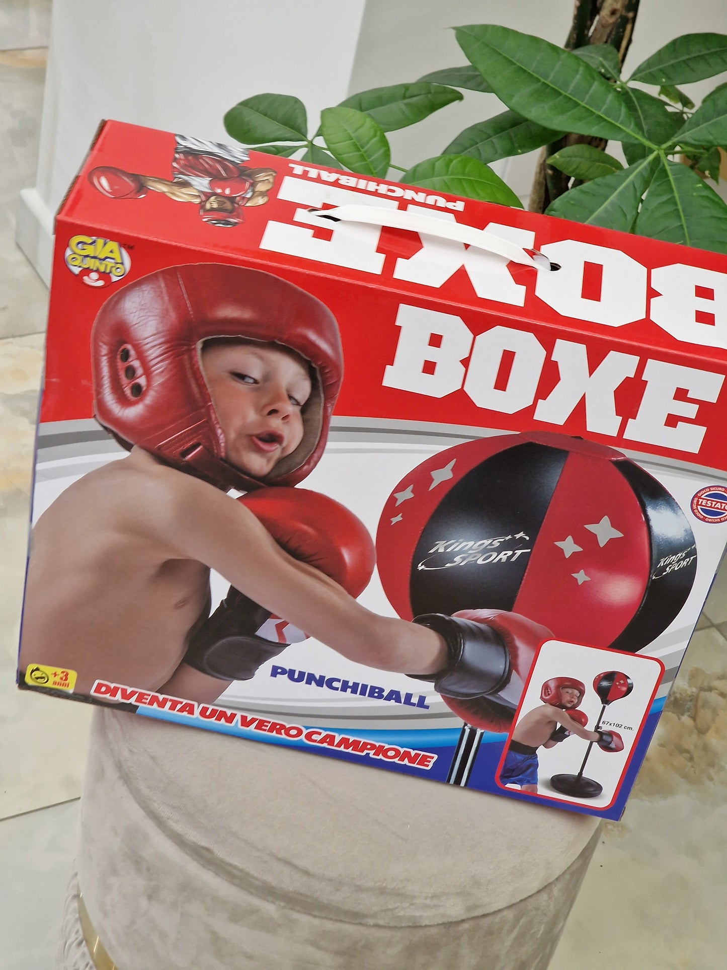 Boxe Punchibal