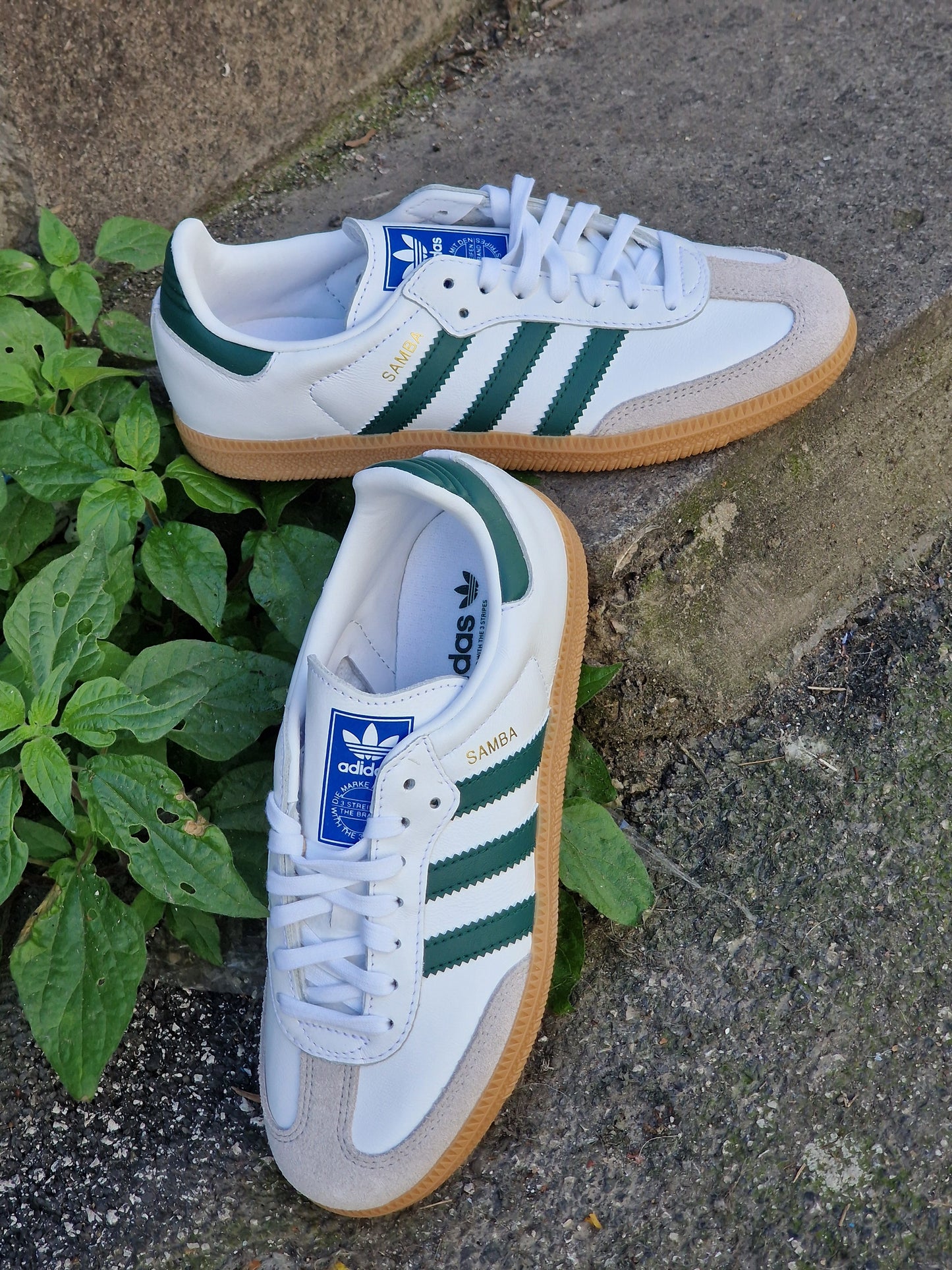 Adidas samba white