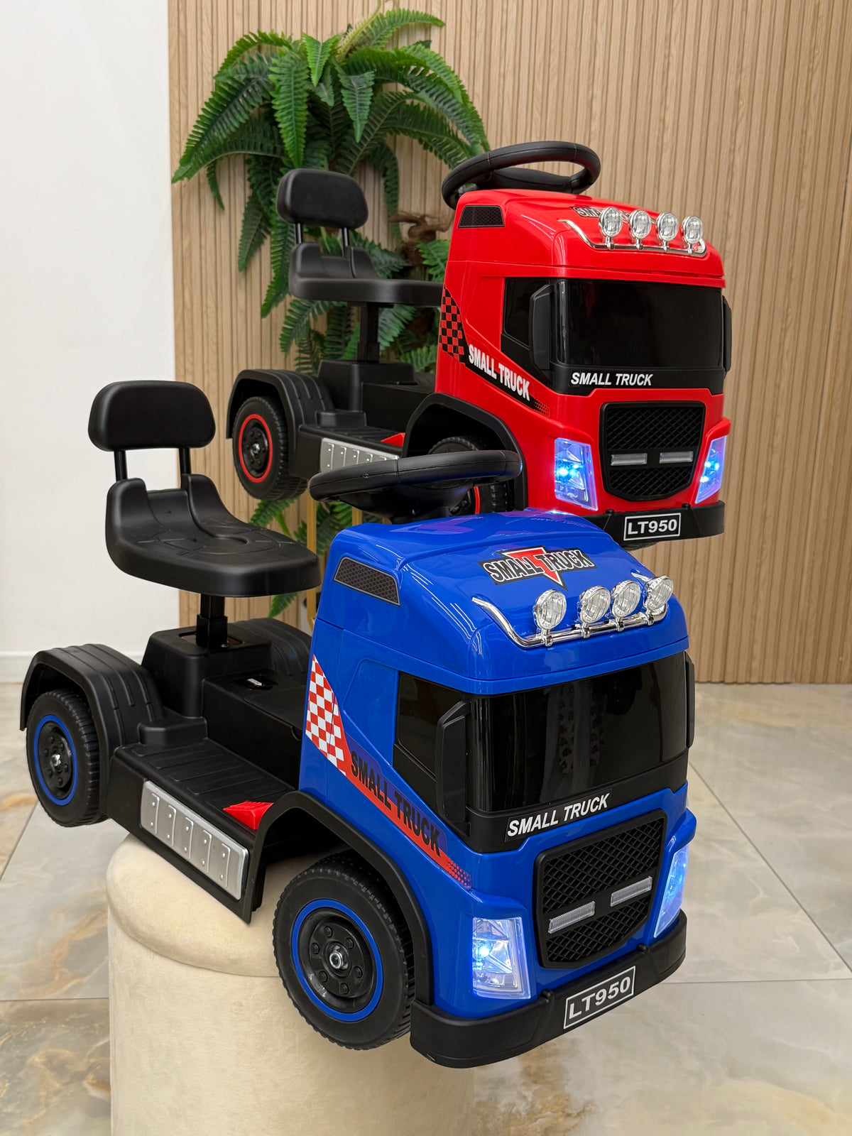 Camion Elettrico Cavalcabile