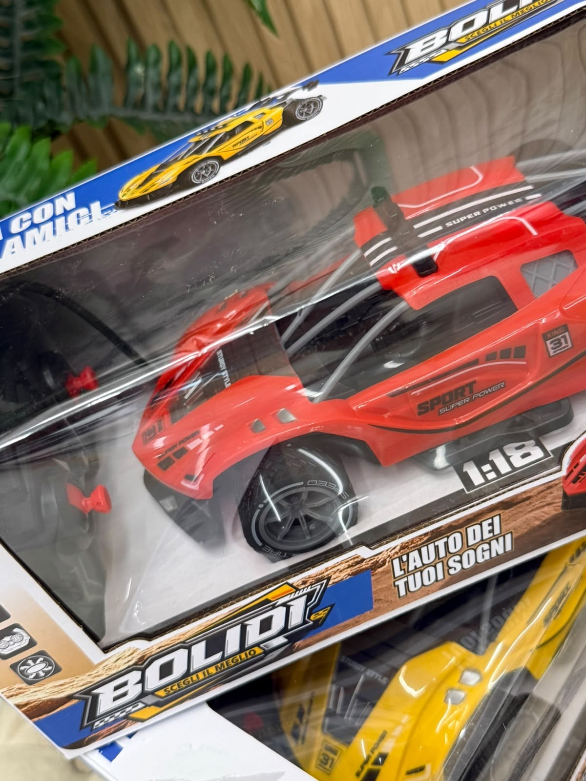 L’auto Bolidi