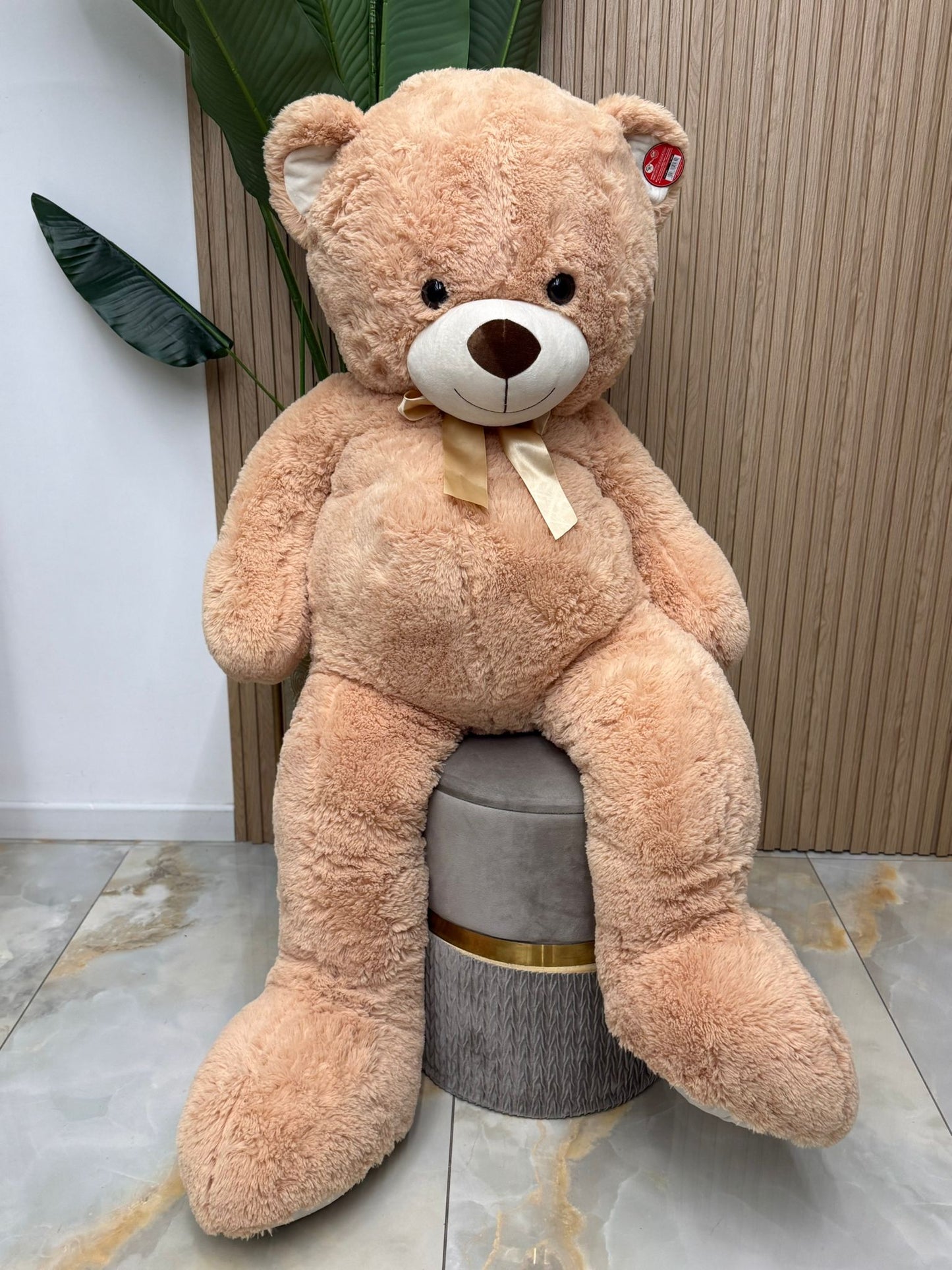 Orso Bruno
