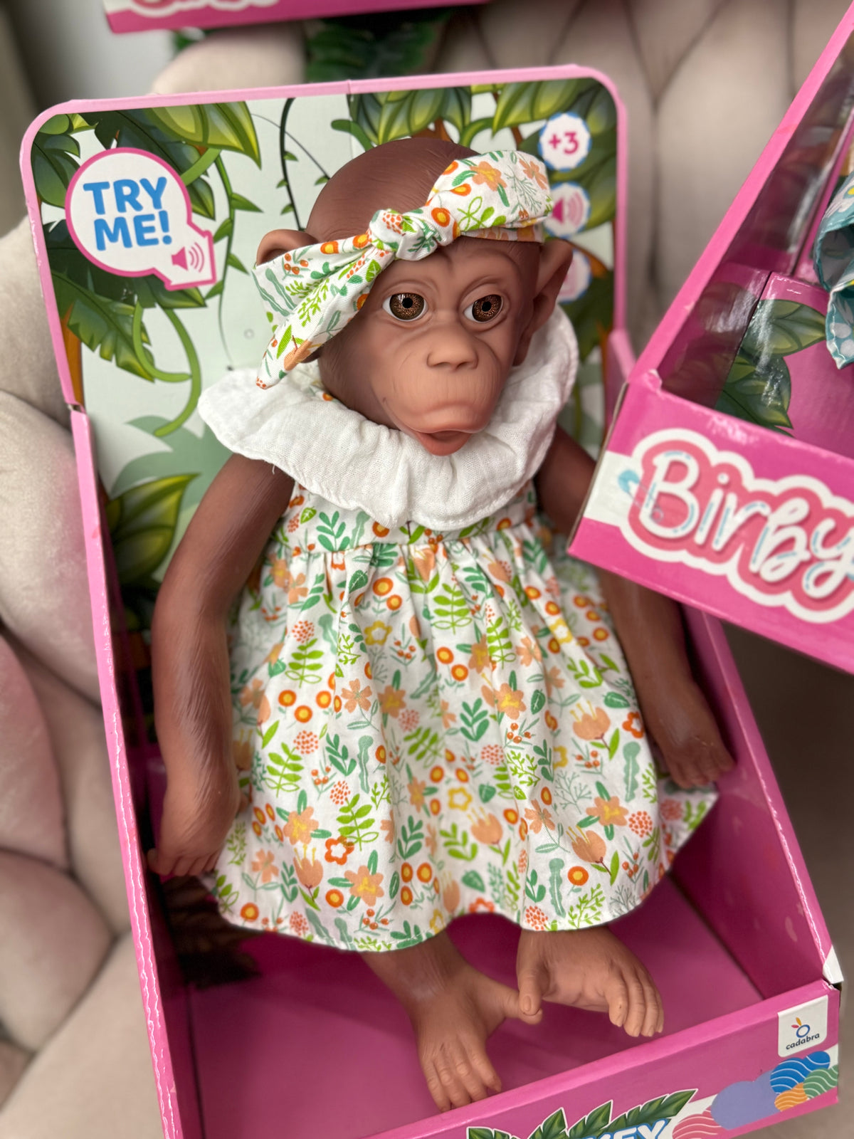 Scimmietta Mimì