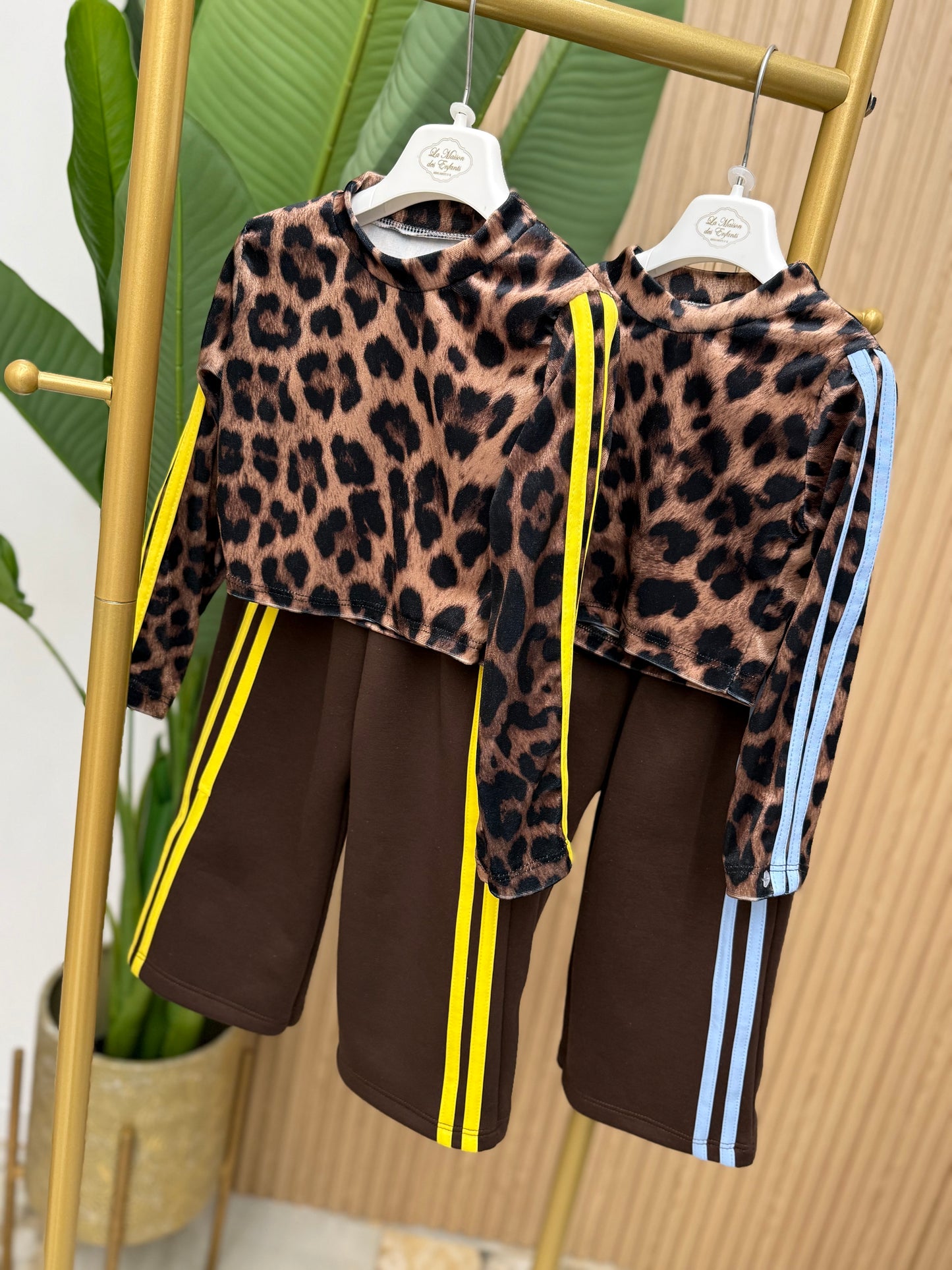 Coordinato Ginas