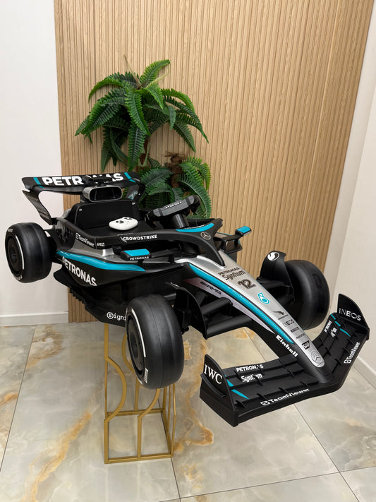 Mercedes Formula 1 AMG