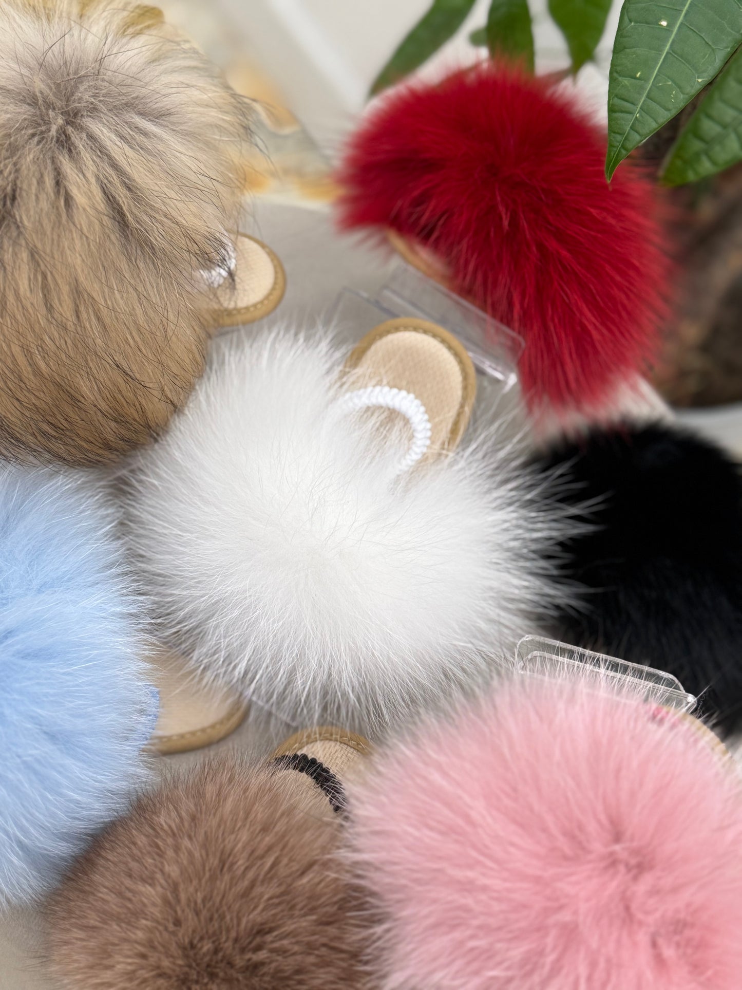 Slipper Fox Culla