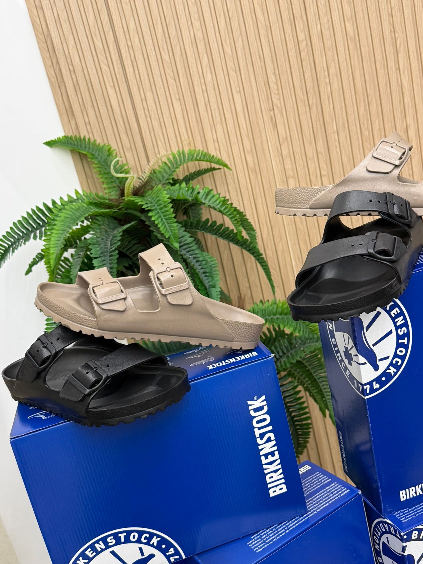 Birkenstock Eva