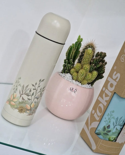 Termo acqua kiokids