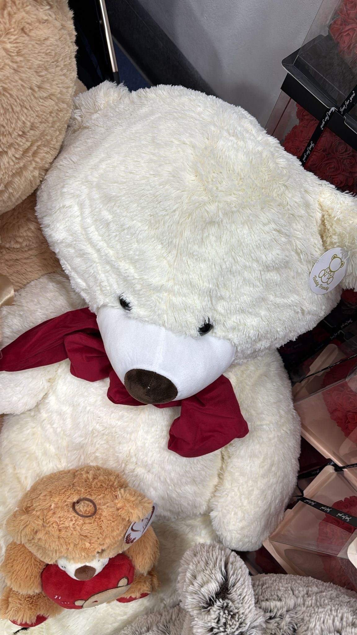Orso Blond
