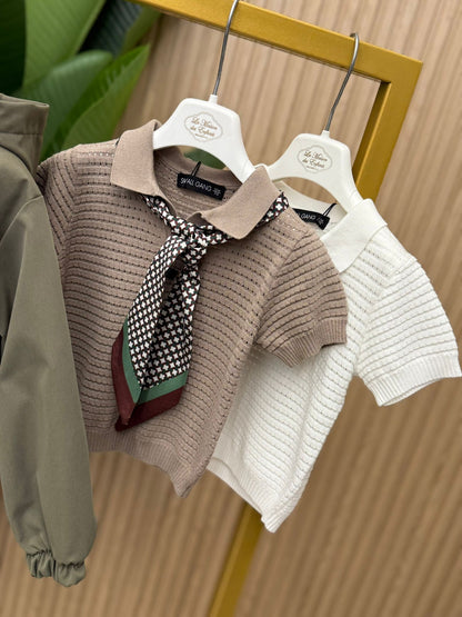 Polo Dineros