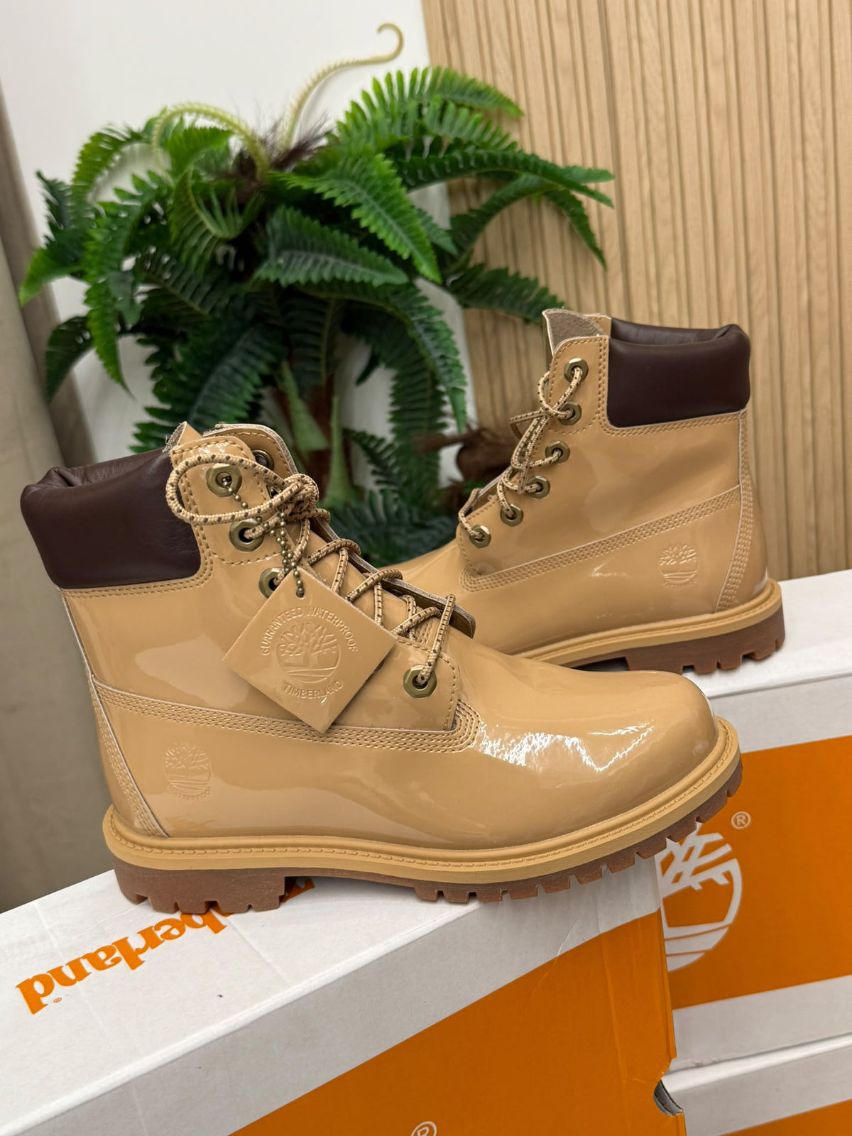 Timberland Premium