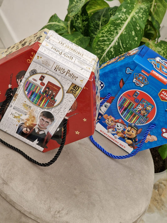 Kit colori Harry Potter e Paw Patrol