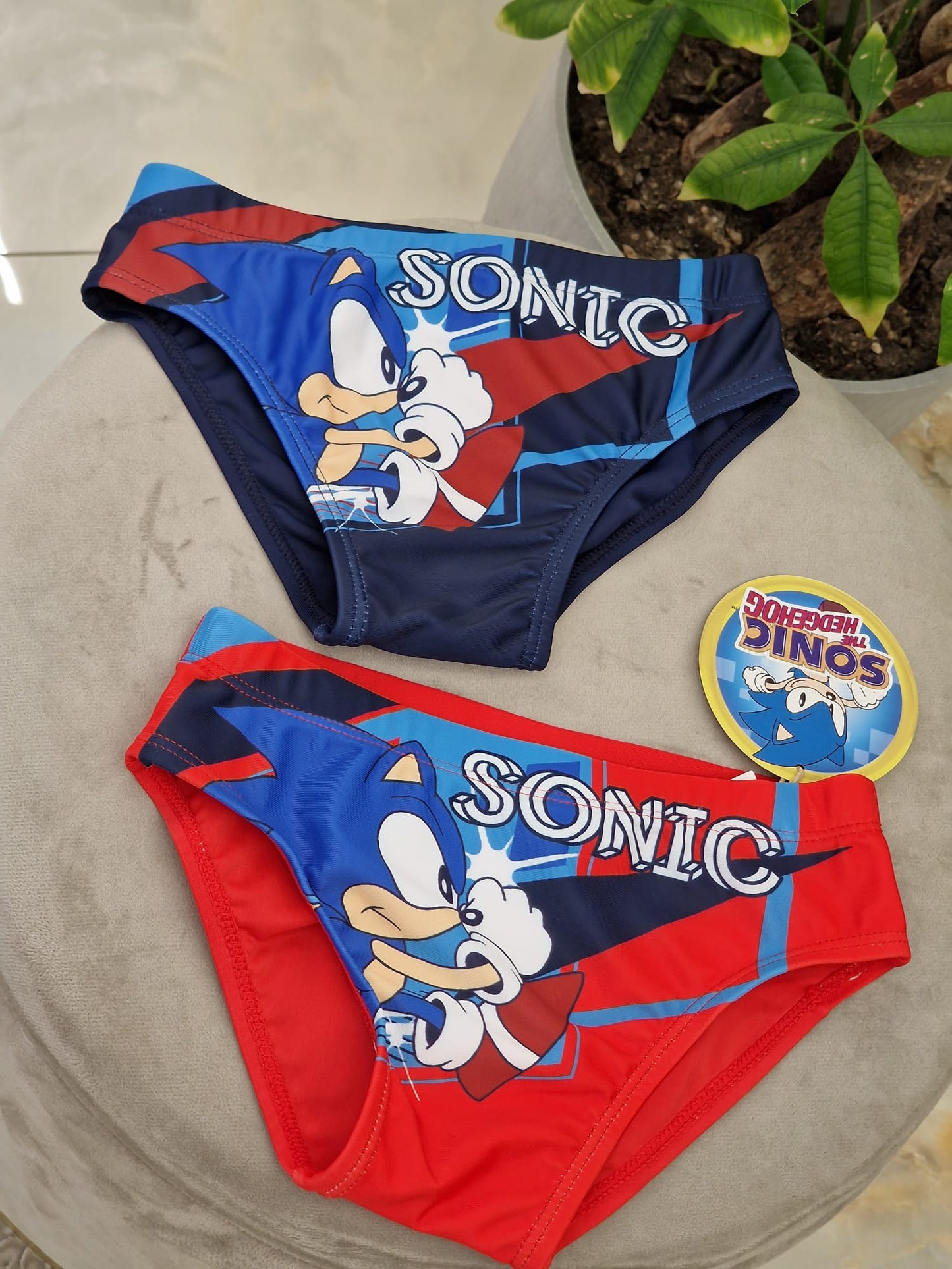 Costume Sonic